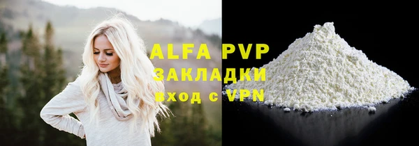 хмурый Абаза