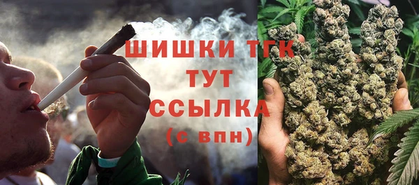 хмурый Абаза