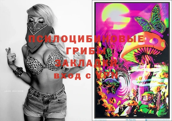 бошки Абдулино