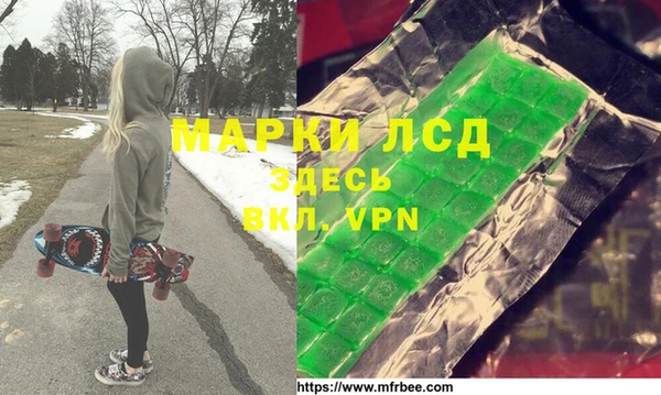 хмурый Абаза