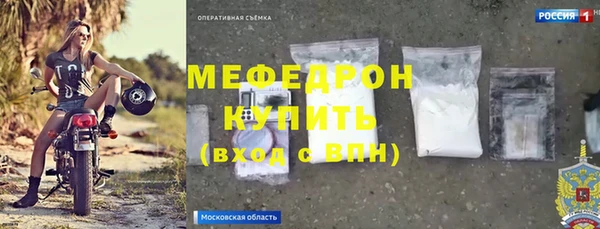 индика Саяногорск