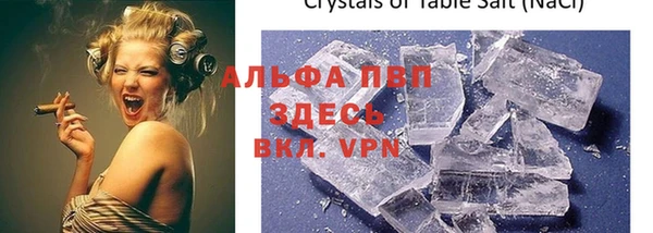 хмурый Абаза
