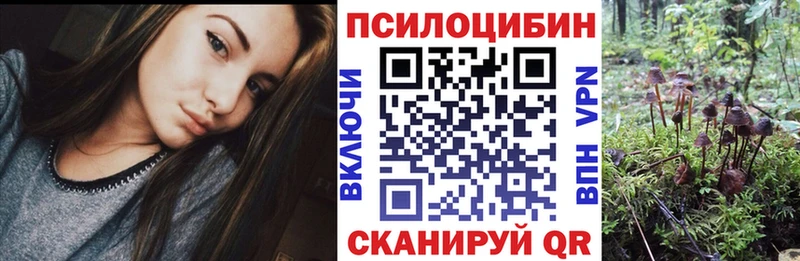 Галлюциногенные грибы Psilocybine cubensis  Бавлы 